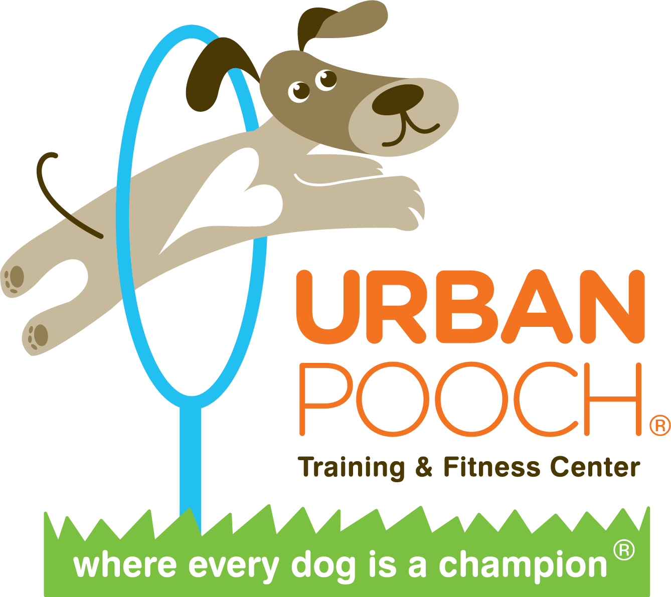 Urban Pooch
