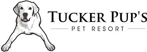 Tucker Pup's